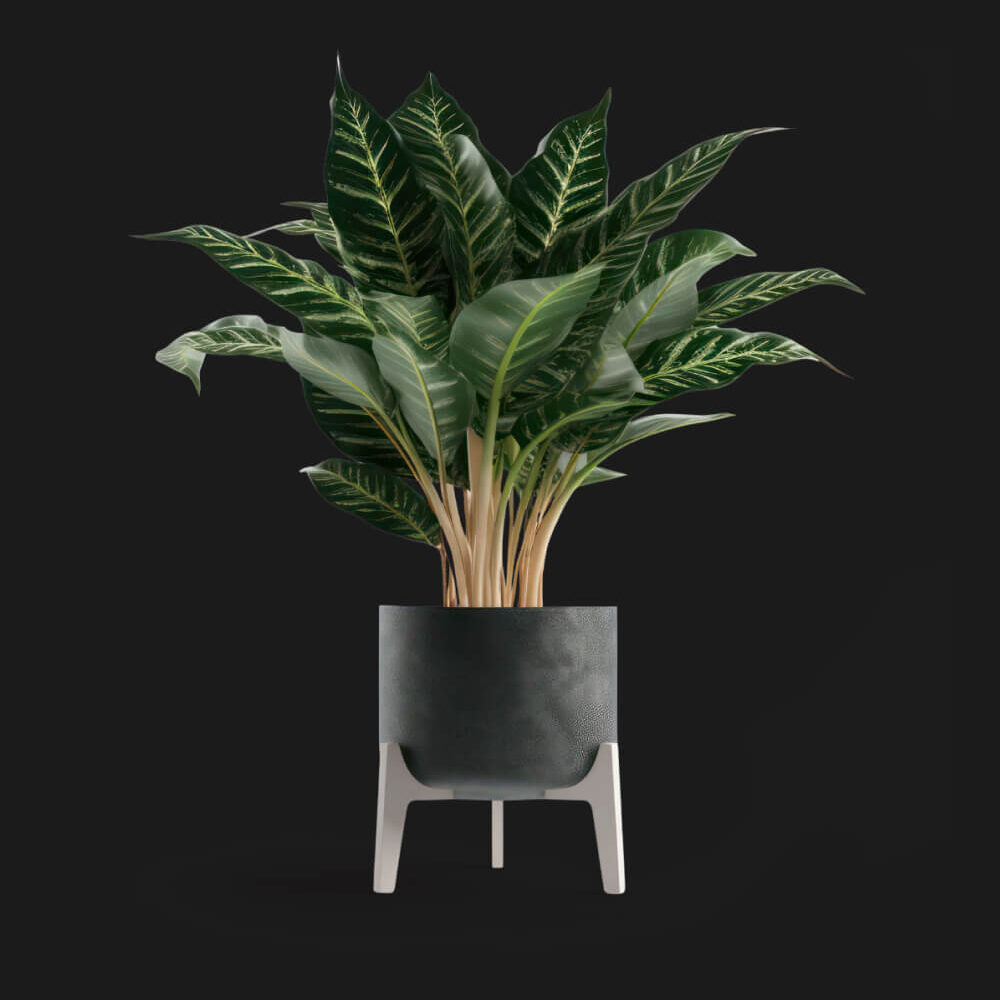 Shop Primary Image Shop Primary Image