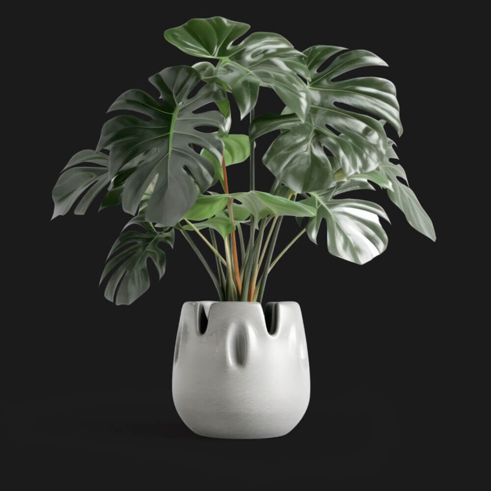 Shop Secondary Image