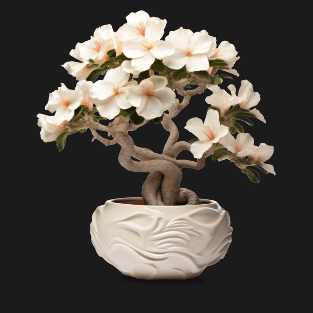 Shop Primary Image Shop Primary Image